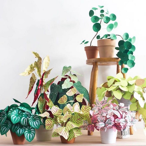 Paper Plant Craft Tutorial 1