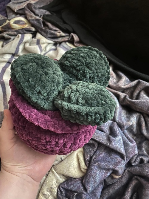 crochet succulent