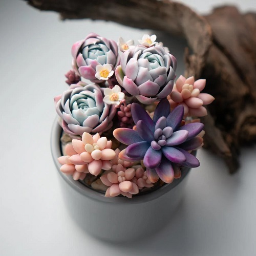 clay succulent tutorial