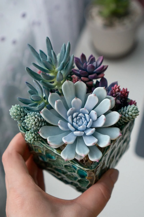 Mini Succulent Clay Craft Tutorial 1