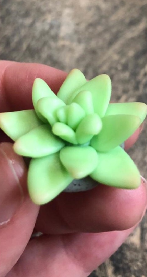 Put the Leaves Together
