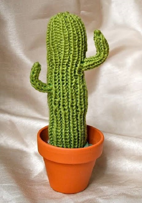 Tall Cactus