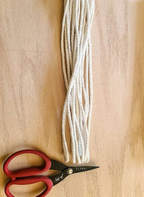Cut the Cord