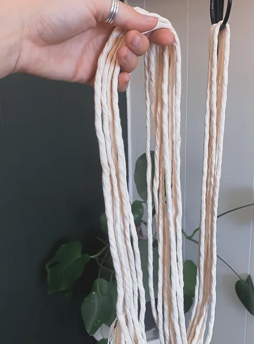 Cut the Cord