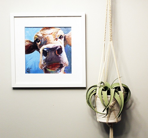 macrame square knot plant hanger
