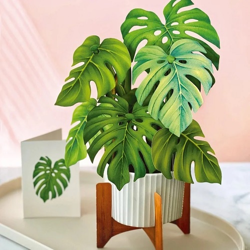 Paper Monstera Plant