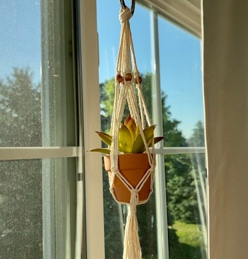 Ways to Customize Your Macrame Plant Hanger