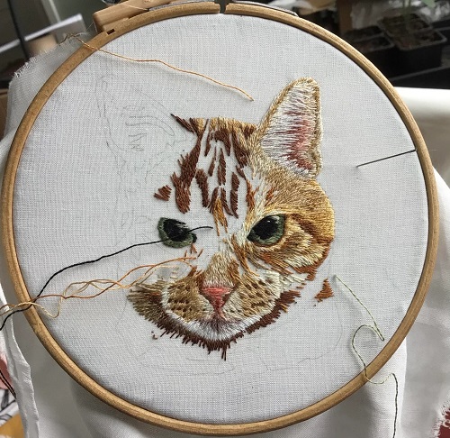 Finish the Face With Whiskers and Fur