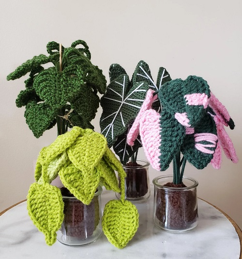 Keep Your Crochet Plants Clean for Longer