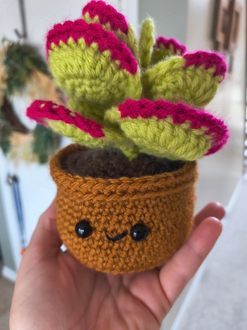 How to Clean Crochet Plants