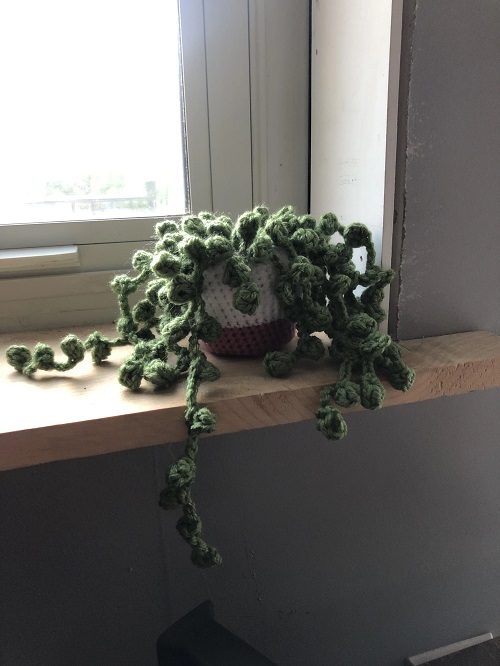Plant Planting Using Machine How to Clean Crochet Plants - The House Plant